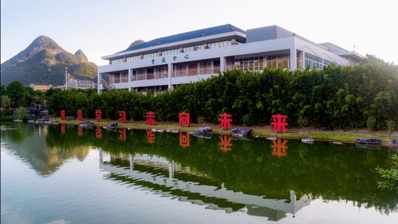 开关二极管与整流二极管：关键特性与应用差异